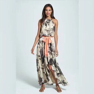 Eliza J Print Chiffon Halter Maxi Dress, Size 6